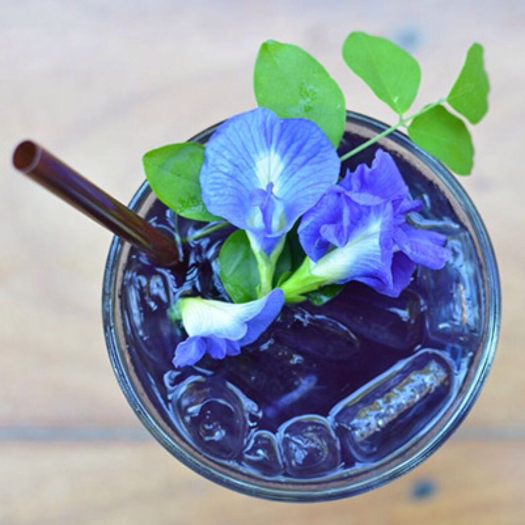 Blue tea; masala tea, Butterfly pea flower