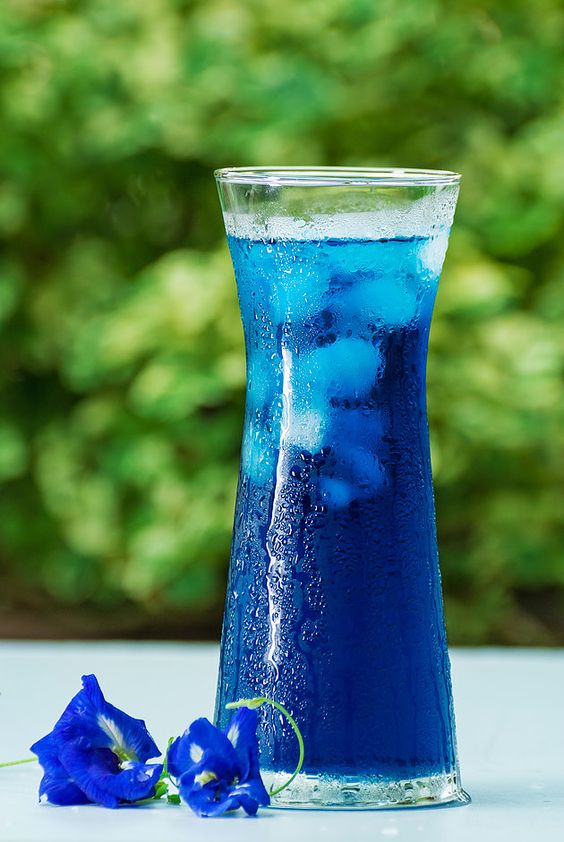 Blue tea; masala tea, Butterfly pea flower